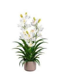 Kunstpflanze , Grau, Grün, Weiß , Kunststoff , 70 cm , inkl. Topf , Dekoration, Blumen & Blumentöpfe