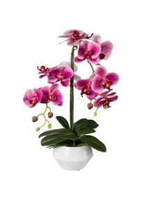 Kunstpflanze , Dunkelrosa , Kunststoff , 52 cm , Dekoration, Blumen & Blumentöpfe