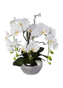 Kunstpflanze , Grün, Silberfarben, Weiß , Kunststoff , 55 cm , inkl. Topf, Real-Touch-Oberfläche , Dekoration, Blumen & Blumentöpfe