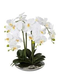 Kunstpflanze , Weiß , Kunststoff , 41 cm , Dekoration, Blumen & Blumentöpfe
