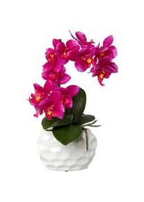 Kunstpflanze , Grün, Weiß, Pink , Kunststoff , 33 cm , inkl. Topf, Real-Touch-Oberfläche , Dekoration, Blumen & Blumentöpfe
