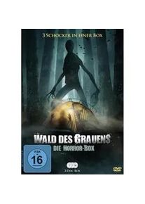 Lighthouse Wald Des Grauens - Die Horror-Box (DVD)