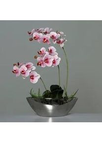 Orchidee , Kunststoff , 54 cm , Dekoration, Blumen & Blumentöpfe, Kunstblumen