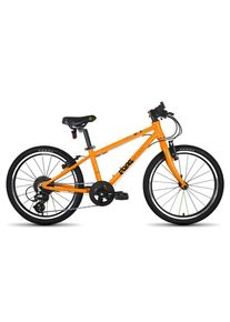 Frog 53 - Orange 2022