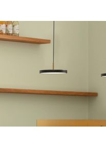 Umage Asteria MicroV2 hanging light dimmable black