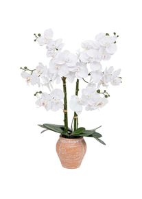 Atmosphera - Orchidée artificielle Dena H65cm rose terracotta créateur d'intérieur