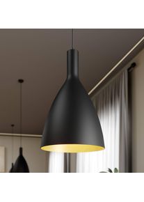 ARCCHIO Arthuria hanging lamp, 1-bulb black