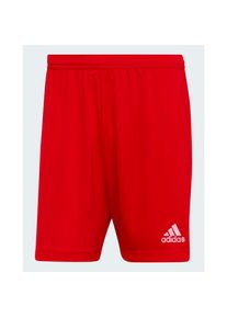 Adidas ENT22 - Shorts