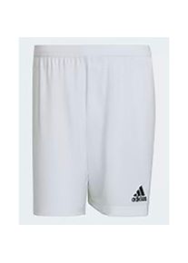 Adidas Entry 22 - Shorts
