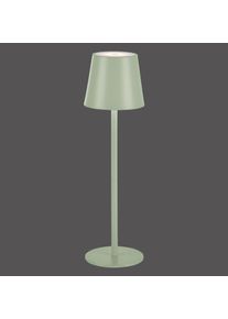 Lampe à poser Leuchten-Direkt EURIA LED Vert, 1 lumière