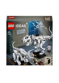 Lego Ideas 21320 Dinosaur Fossils