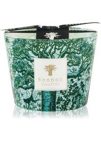 Baobab COLLECTION Sacred Trees Kamalo scented candle 10 cm