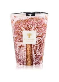Baobab COLLECTION Sacred Trees Woroba scented candle 24 cm