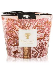 Baobab COLLECTION Sacred Trees Woroba scented candle 10 cm