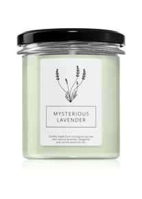 Hagi Mysterious Lavender scented candle 230 g