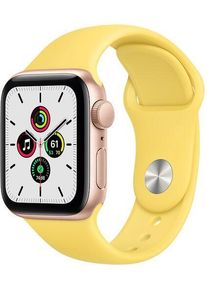 Apple Watch SE Aluminium 40 mm (2020) | WiFi | gold | Sportarmband Ingwer S/M
