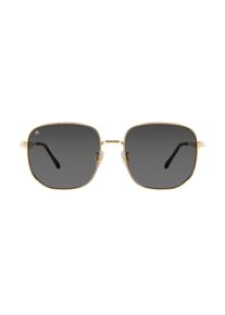 Victoria Hyde Heren Zonnebril 'Danny' goud / zwart One Size
