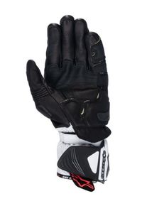 Alpinestars GP-Pro R4 Sporthandschuh (Schwarz/Weiß)