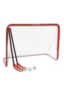 My Hood Hockey Goal