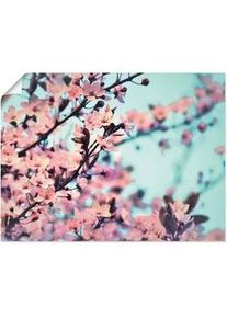 Artland Poster »Kirschblüten Romantik«, Blumen, (1 St.), als Alubild, Leinwandbild, Wandaufkleber oder Poster in versch. Größen Artland blau