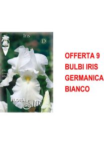 Offre 9 bulbes iris germanica blanc