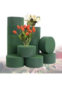 Umnuou - Bloc de mousse florale 15 pièces bloc d'éponge de fleur ronde mousse verte pour fleurs arrangement de fleurs mousse bricolage plateaux de