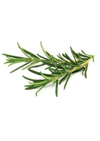 Click and Grow - Smart Garden Refill 3-pack - Rosemary (SGR51X3)