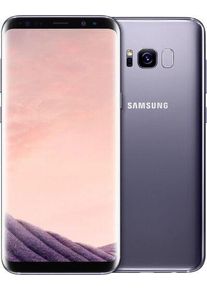 Samsung Galaxy S8+ | 64 GB | Dual-SIM | grau