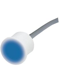 Vagner Pool Piezo Ber&uuml;hrungstaste, RGB Hintergrundbeleuchtung, Kunststoff, Kabel 3m