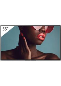 Monitor Sony PRO BRAVIA 55" 4K Ultra HD IPS D-LED LCD 60 Hz