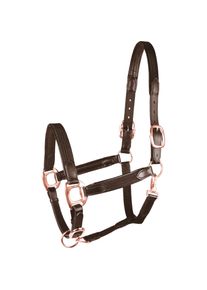 Star Halfter Mix, Leather Halter, Webbing Halter