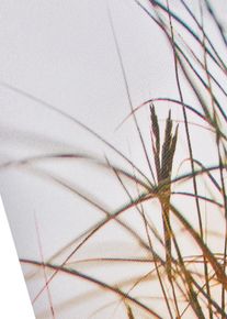 Ranta-aiheinen paneeliverho (3-os. setti), beige, H/B: 225/57 cm, bonprix