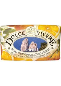 NESTI DANTE Firenze Dolce Vivere Capri Soap Reiniging Unisex 250 g