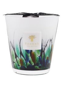 Baobab COLLECTION Baobab Geurkaarsen Amazonia Unisex 1100 g