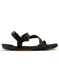 Xero Shoes Z-Trail EV Barefoot shoes Men (9, black)