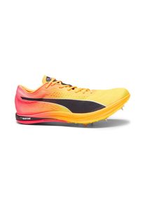 Puma Unisex Evospeed Long Distance Nitro Elite+ orange 43.0