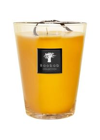 Baobab COLLECTION Baobab All Seasons Zanzibar Kruiden geurkaars Geurkaarsen Unisex 3000 g