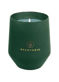 SCENTORIE. Scented candles Green Woods - Unisex 300 g