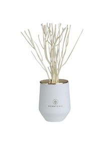 SCENTORIE. Verstuiver Cosy Blanket Geurdiffusers Unisex 200 ml