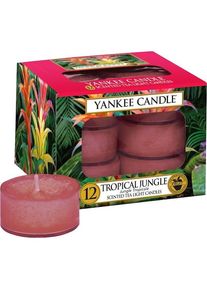 yankee candle Lampki do herbaty Tropical Jungle Świeczki zapachowe Female