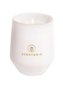 SCENTORIE. Scented candles Cozy Blanket - White Unisex 300 g