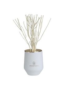 SCENTORIE. Verstuiver West Beach Geurstokjes Unisex 200 ml