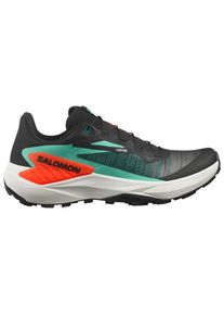 Salomon Genesis Trail running shoes Men (10, grey)