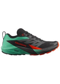 Salomon Sense Ride 5 Trail running shoes Men (42, multi)