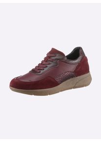 Dames Sneaker in bordeaux ,maat 37, Witt, 60% Glad leer, 40% Suède