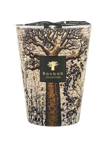Baobab COLLECTION Baobab Sacred Trees Kaars Morondo Geurkaarsen Unisex 3000 g