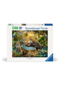 Ravensburger | 1500 Piece Jigsaw Puzzles | Leopards in the Jungle | From age 12 + Adult Puzzles