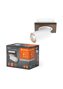 Ledvance Lights Spot ceiling light LED Wood like finish, white, 1-light source