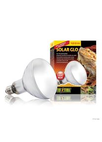 EXO TERRA Solar Glo Wide Beam 125W