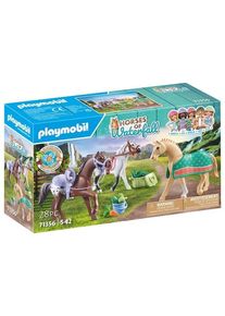 Playmobil - 3 Pferde: Morgan, Quarter Horse & Shagya Araber